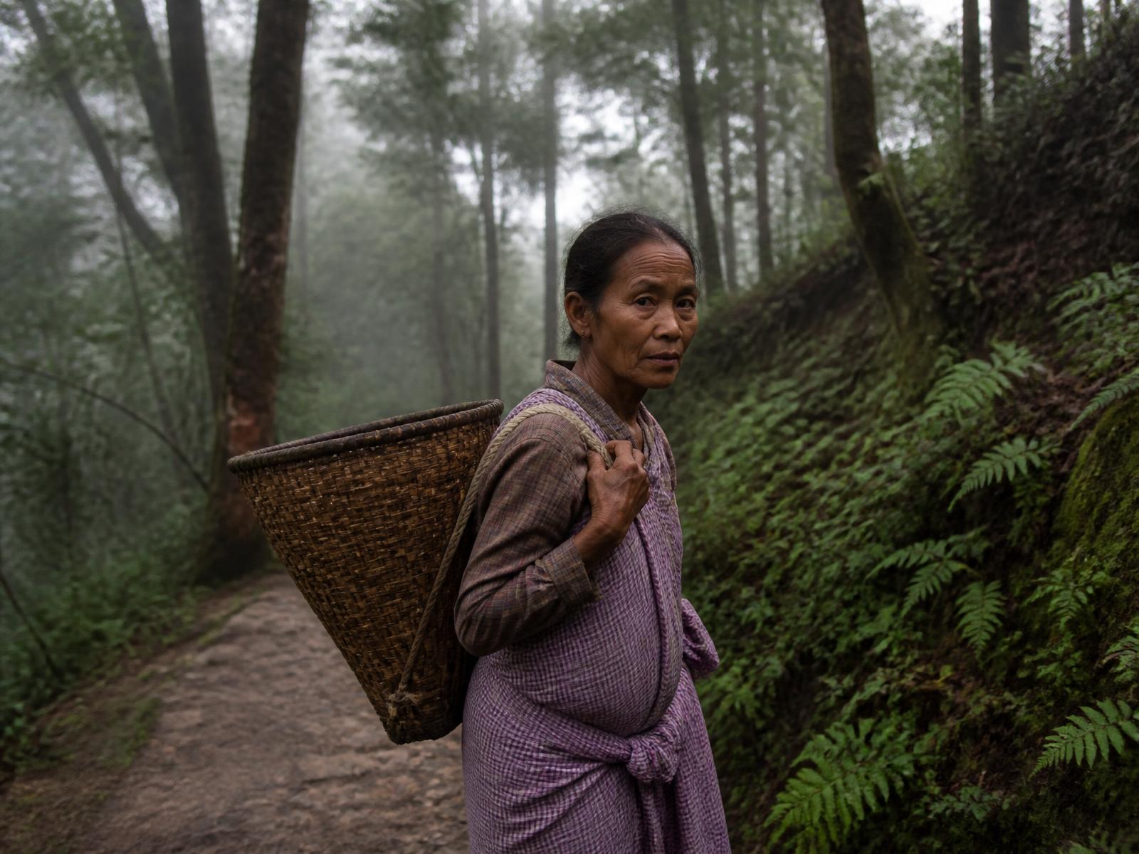 Bamboo basket on the forest trail — Meghalaya, India