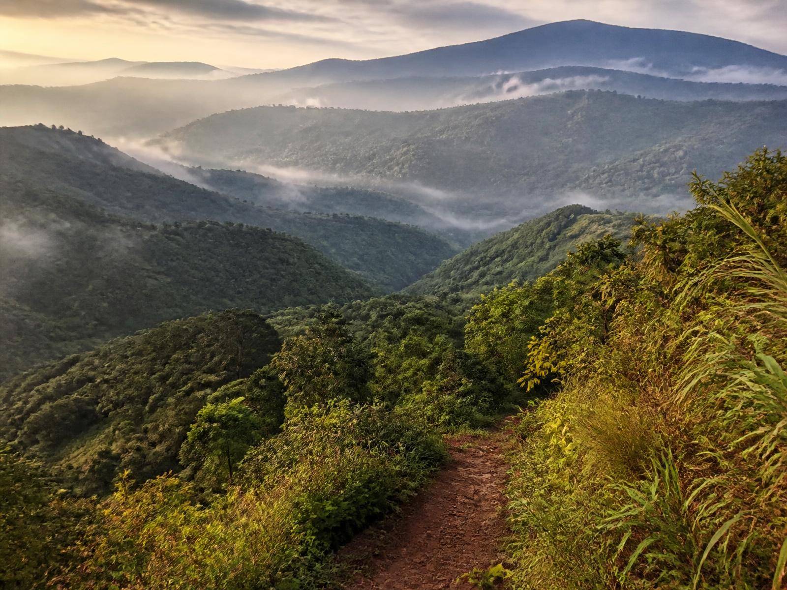 Dawn over the mist-belt ridges — Meghalaya, India
