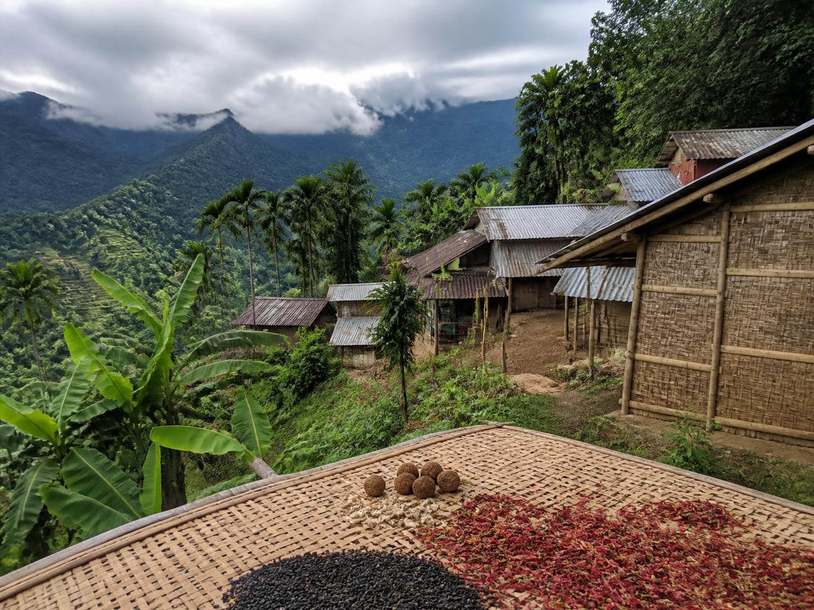 Spice drying on bamboo mats — Meghalaya, India